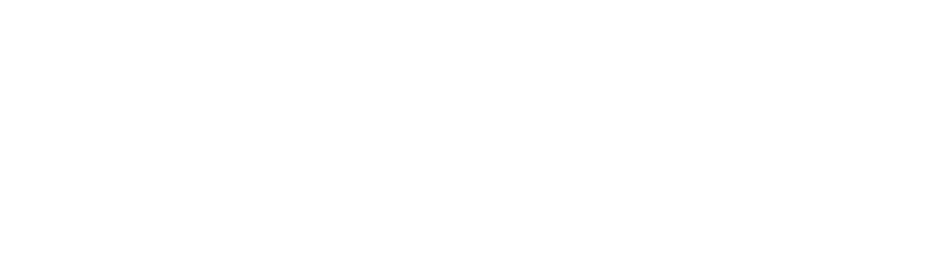 logo_diald white.png