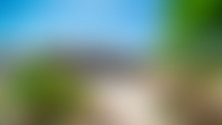 Maximizing Airbnb Bookings with Diald’s Market Insights