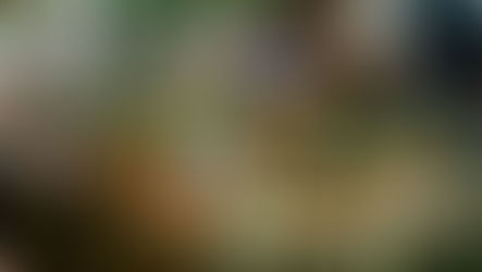 Enhancing Guest Experience: Using Diald to Stay Ahead of Local Events and Attractions