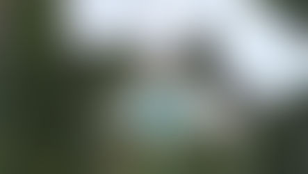 Streamlining Market Research: How Diald Enhances Efficiency for Real Estate Analysts