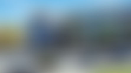 Adapting to Market Changes: How Diald Helps Airbnb Hosts Navigate Economic Shifts